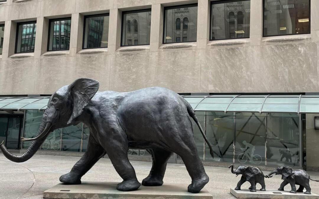 Слоны и пираты CIBC