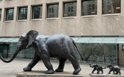 Слоны и пираты CIBC